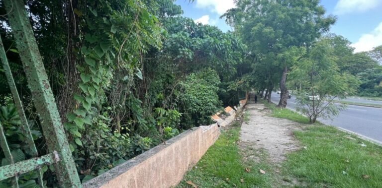 ¿47 millones por 101 metros de verja? Licitación del Mirador Norte genera interrogantes y levanta sospechas